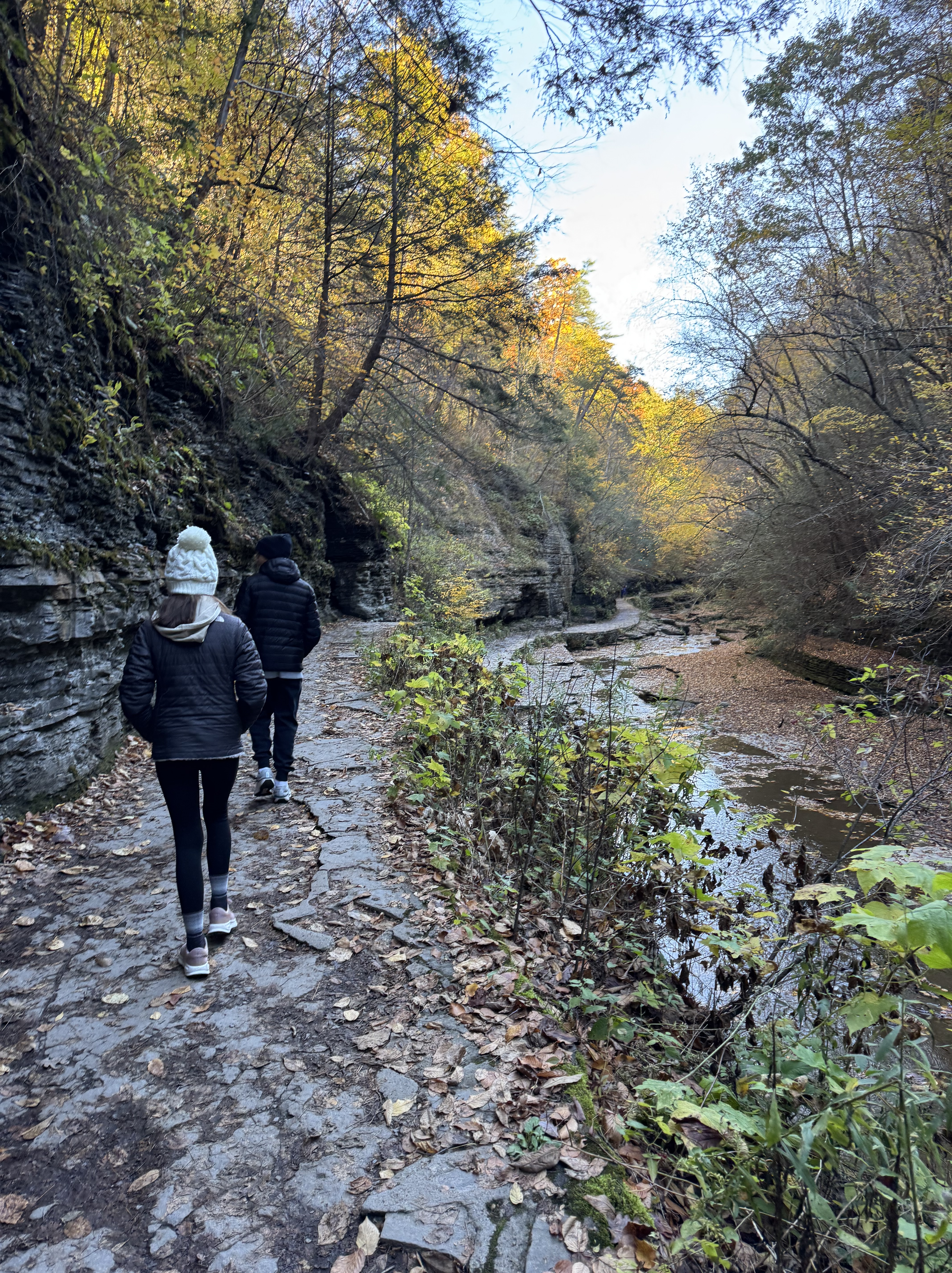 Family walking along a scenic trail surrounded by trees, representing the journey of planning a family trip that leads to memorable experiences