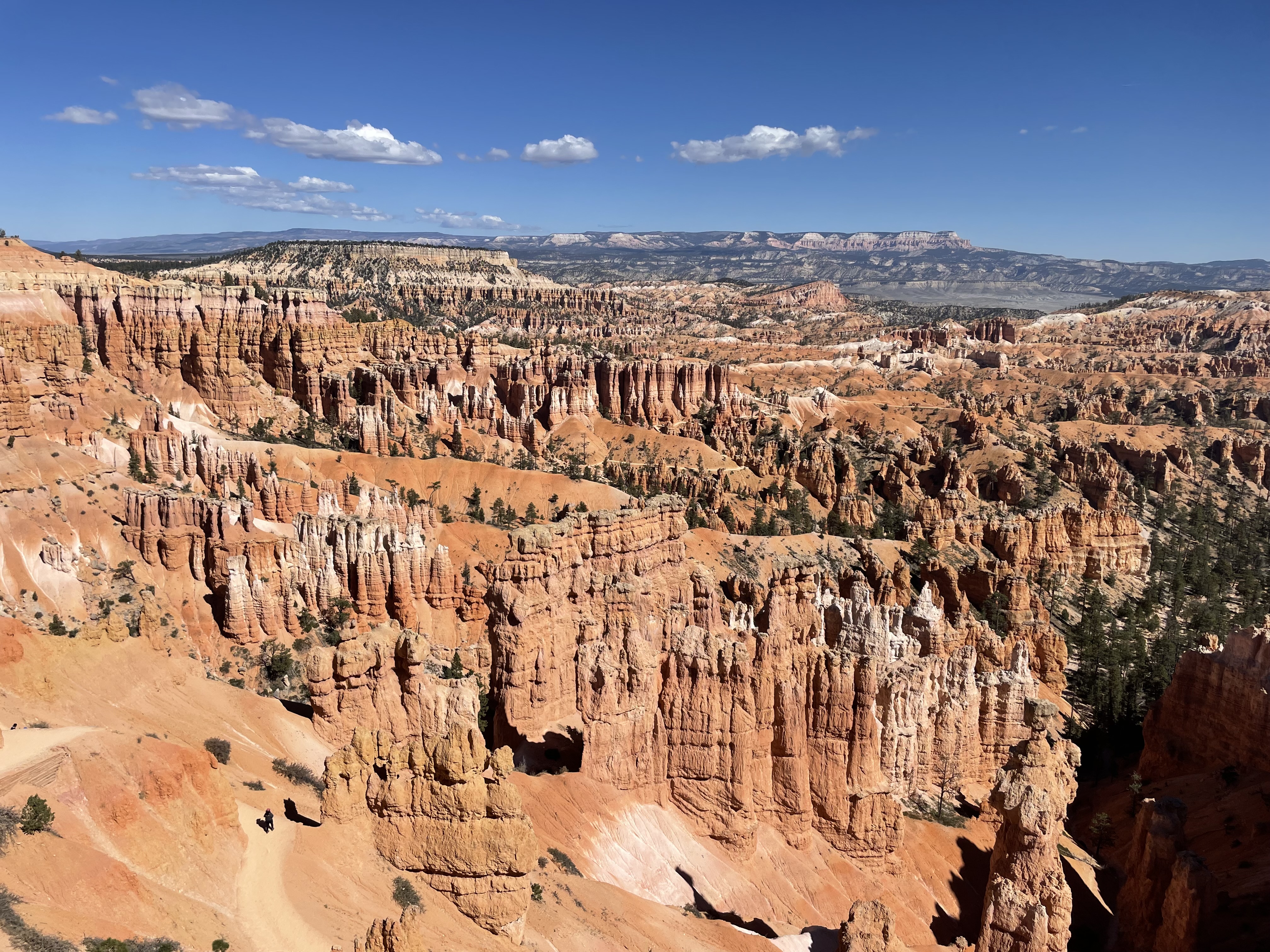 Bryce Canyon hoodoos landscape view with orange rock formations in Utah