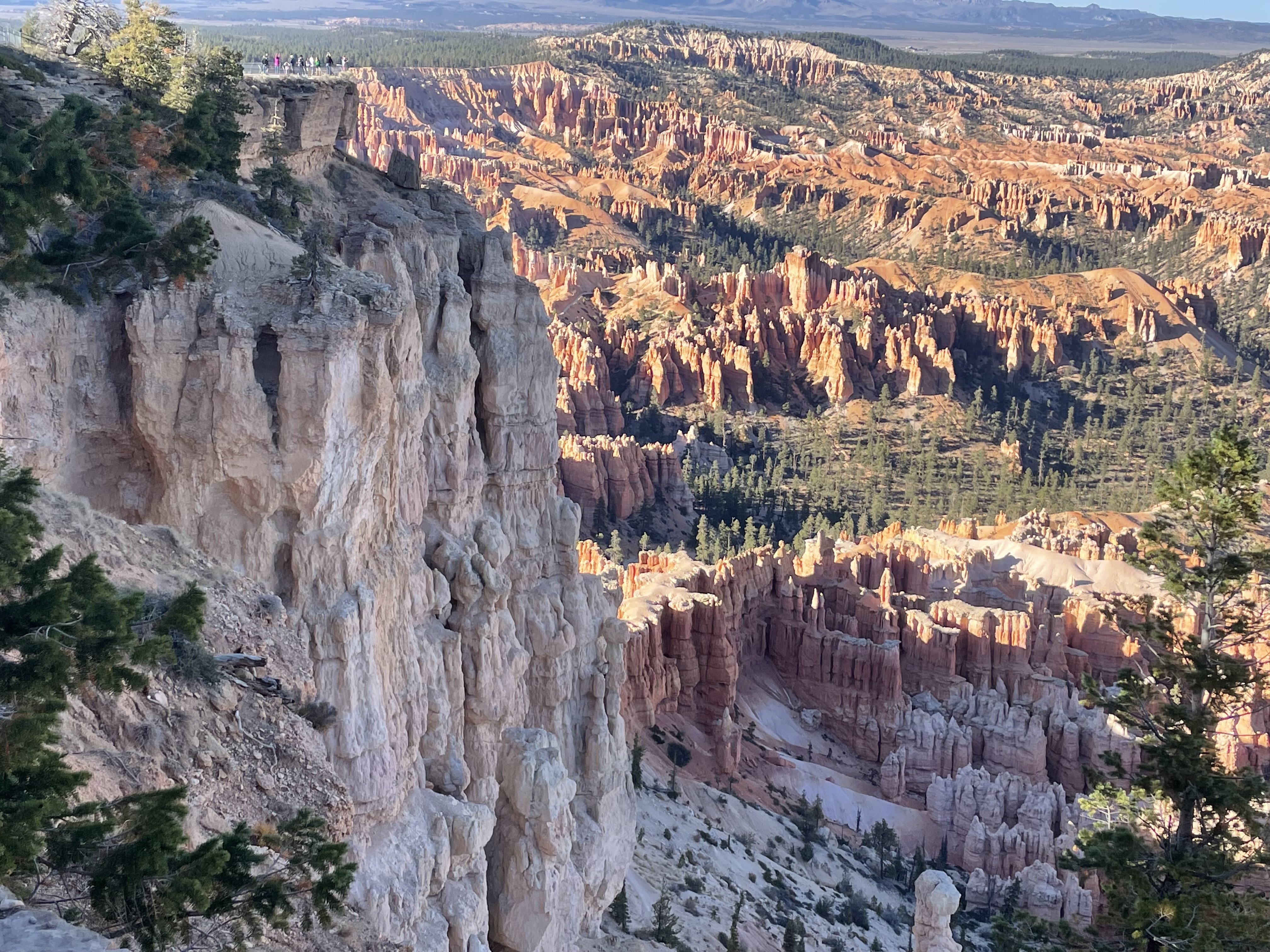 Large Bryce Canyon overlook showing the scale of the hoodoos and canyon cliffs