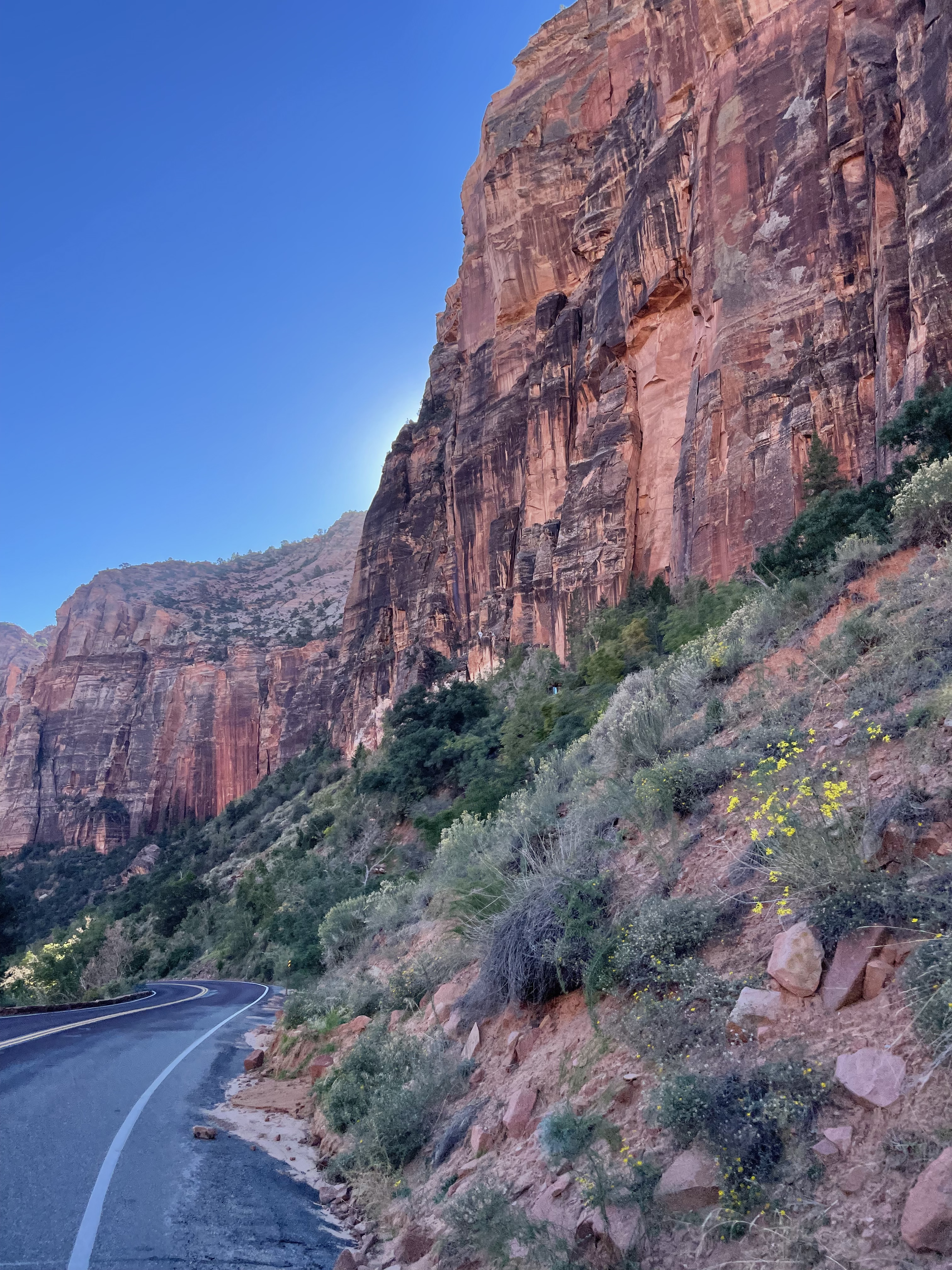 Scenic road through Zion National Park with tall canyon walls