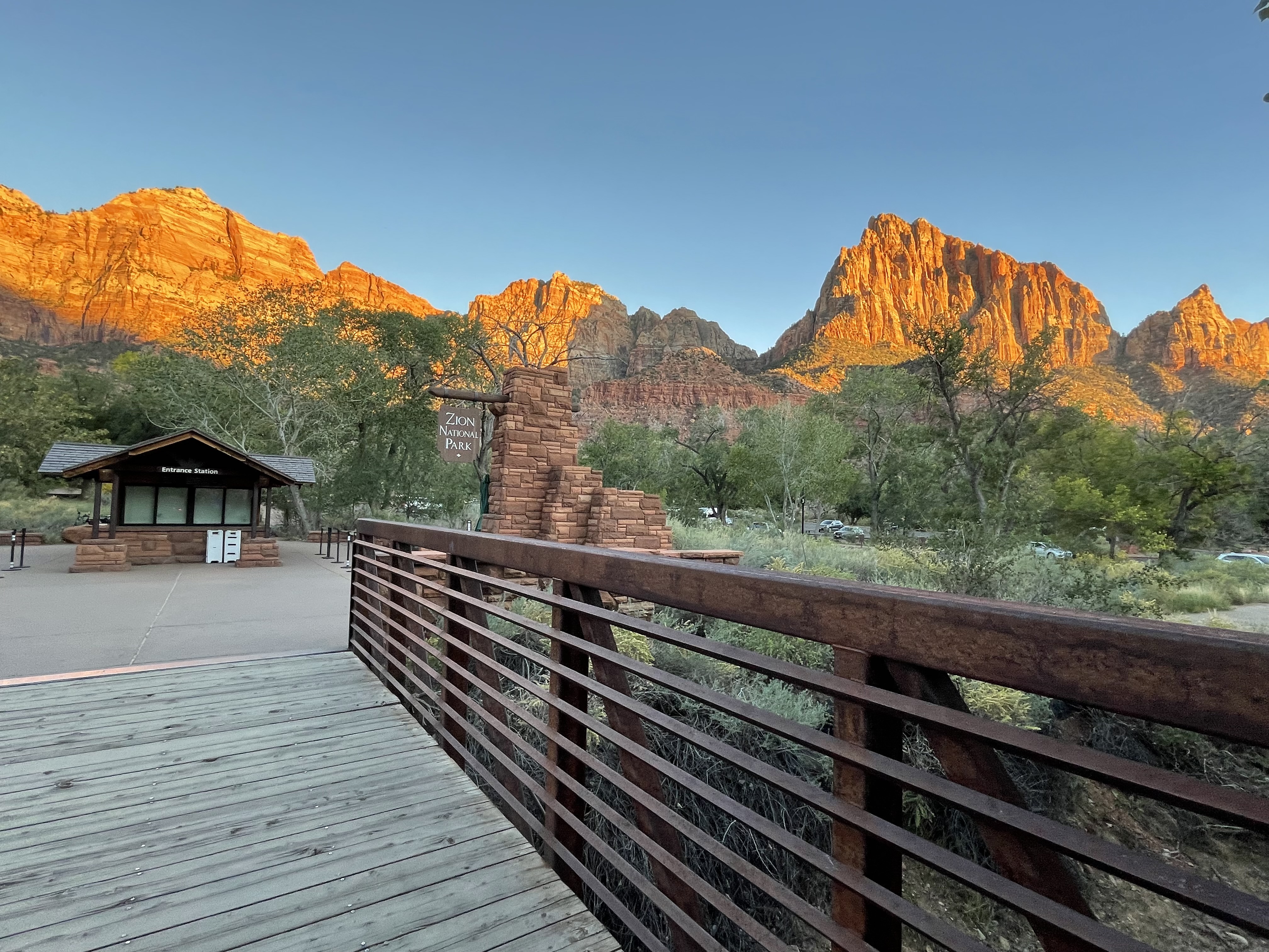 Golden cliffs at Zion National Park glowing at sunset