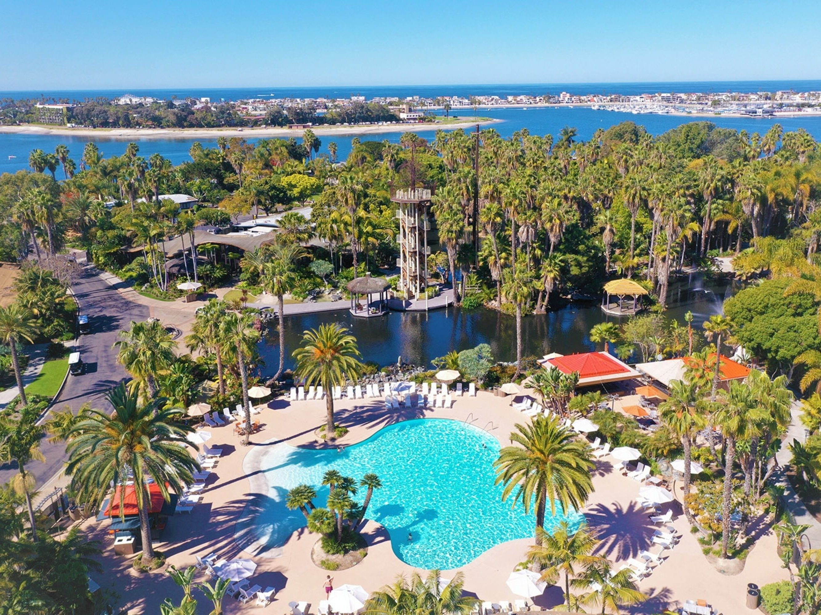 Paradise Point Resort San Diego with palm trees waterfront and tropical setting