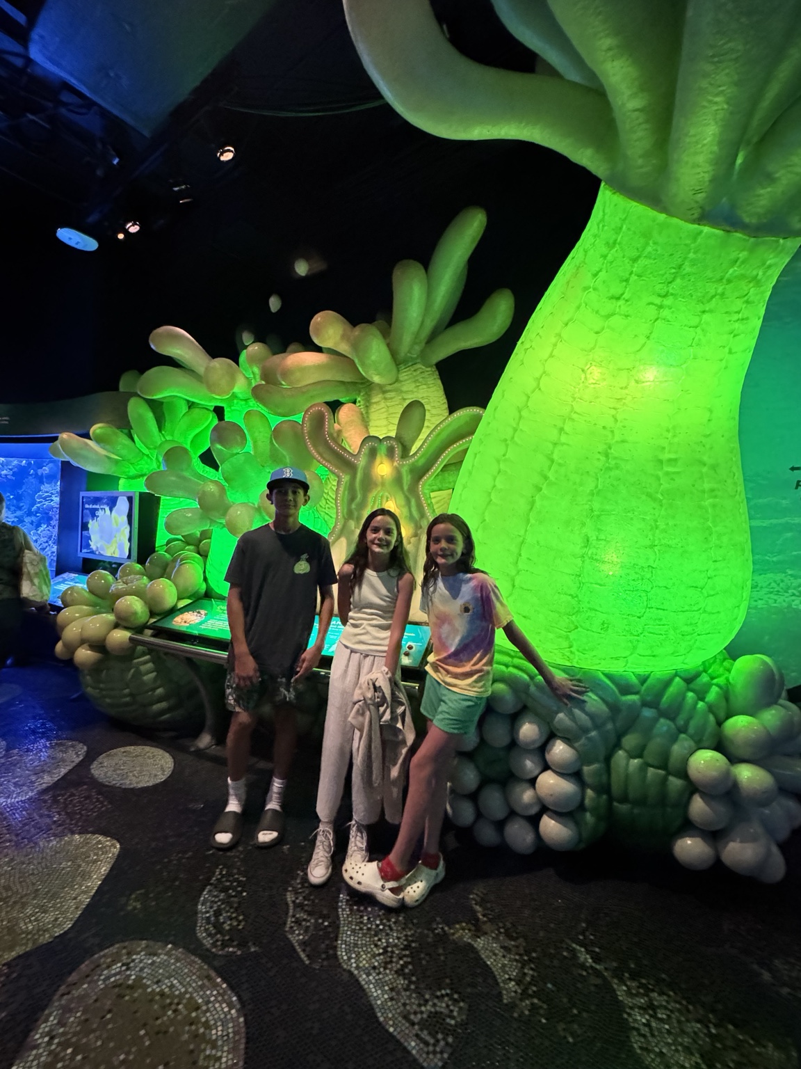 Colorful glowing aquarium exhibit at Shedd Aquarium in Chicago