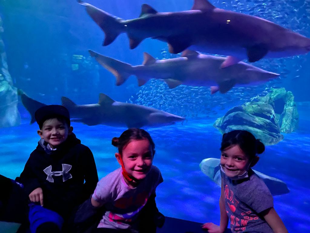 Kids sitting in front of sharks swimming in a large tank at Georgia Aquarium