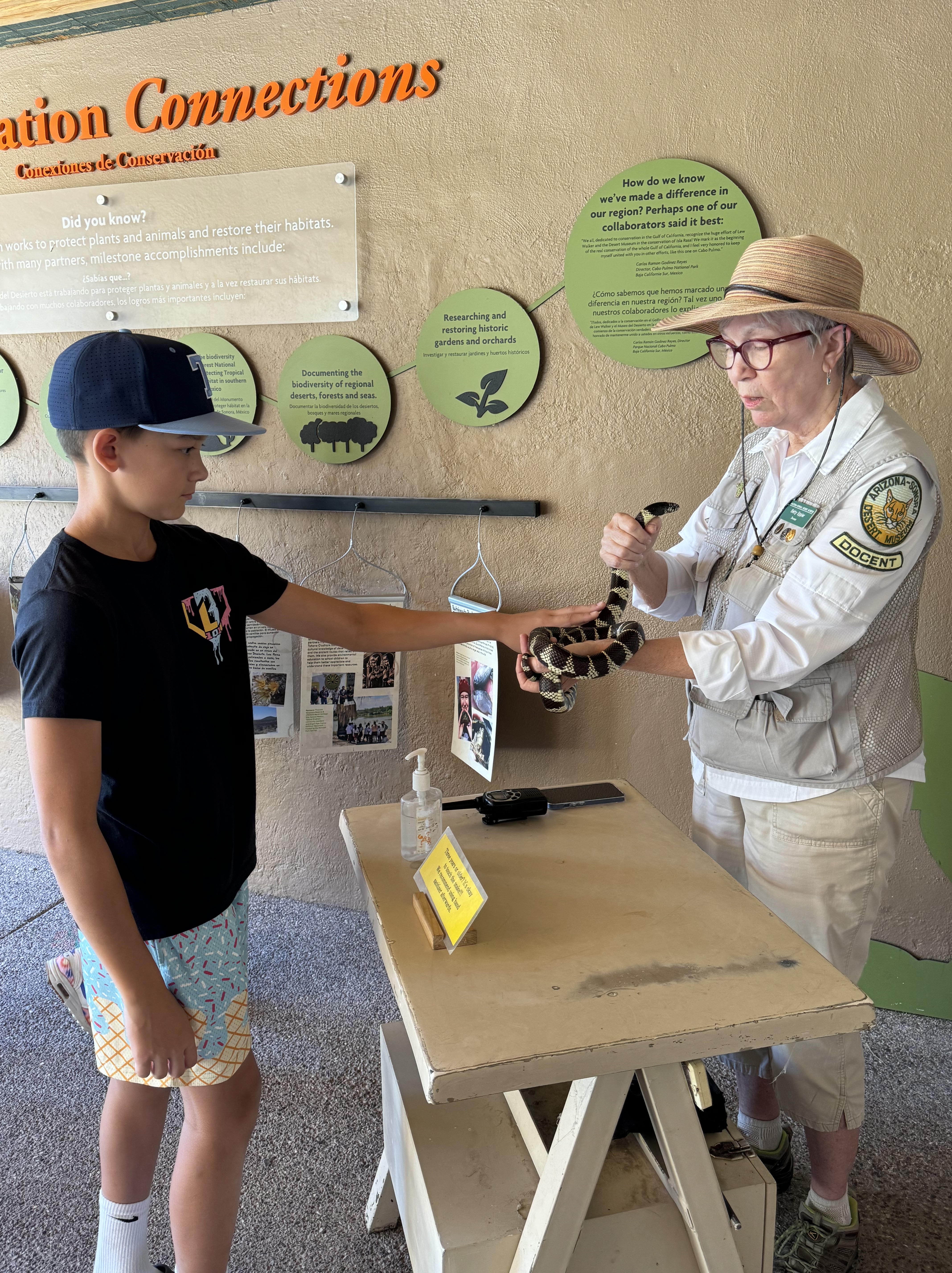 Kids seeing desert animals at the Arizona-Sonora Desert Museum in Tucson Arizona