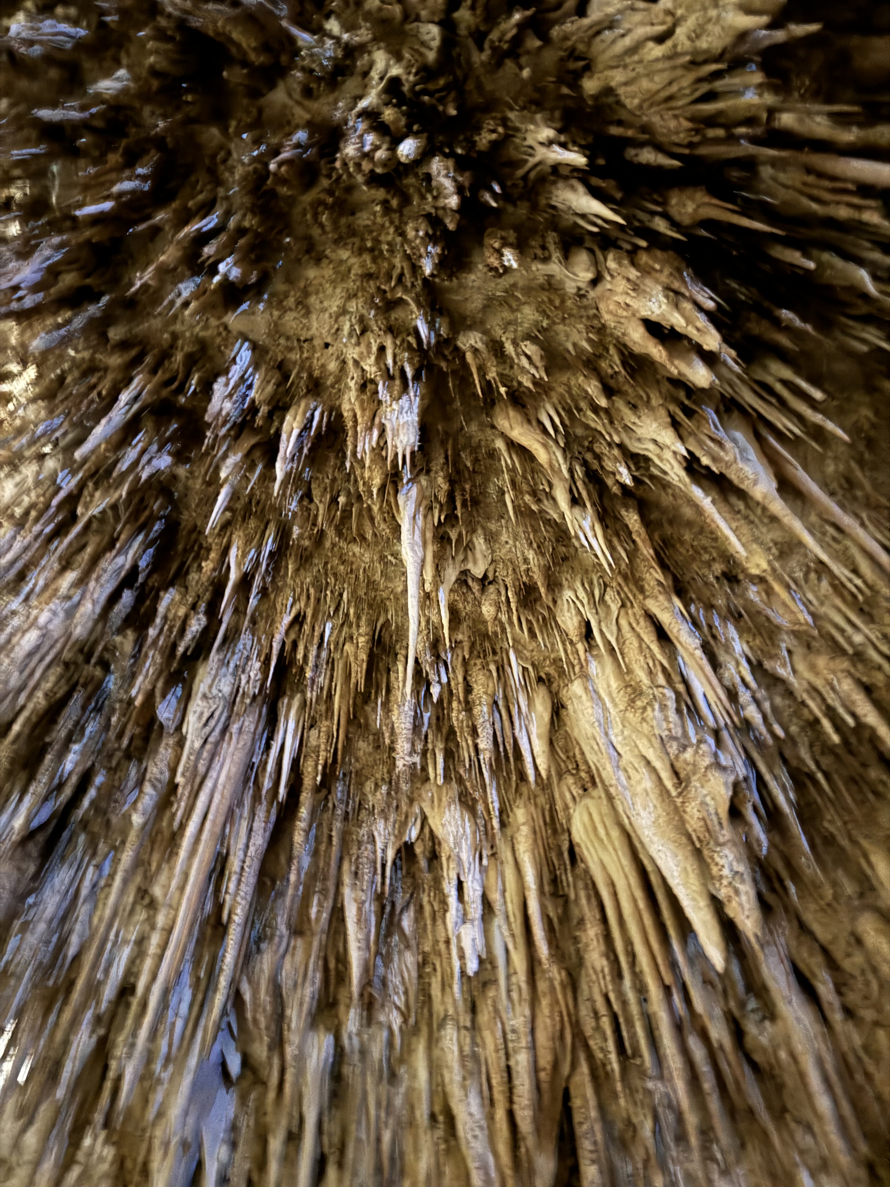 Carlsbad Caverns cave formations detail