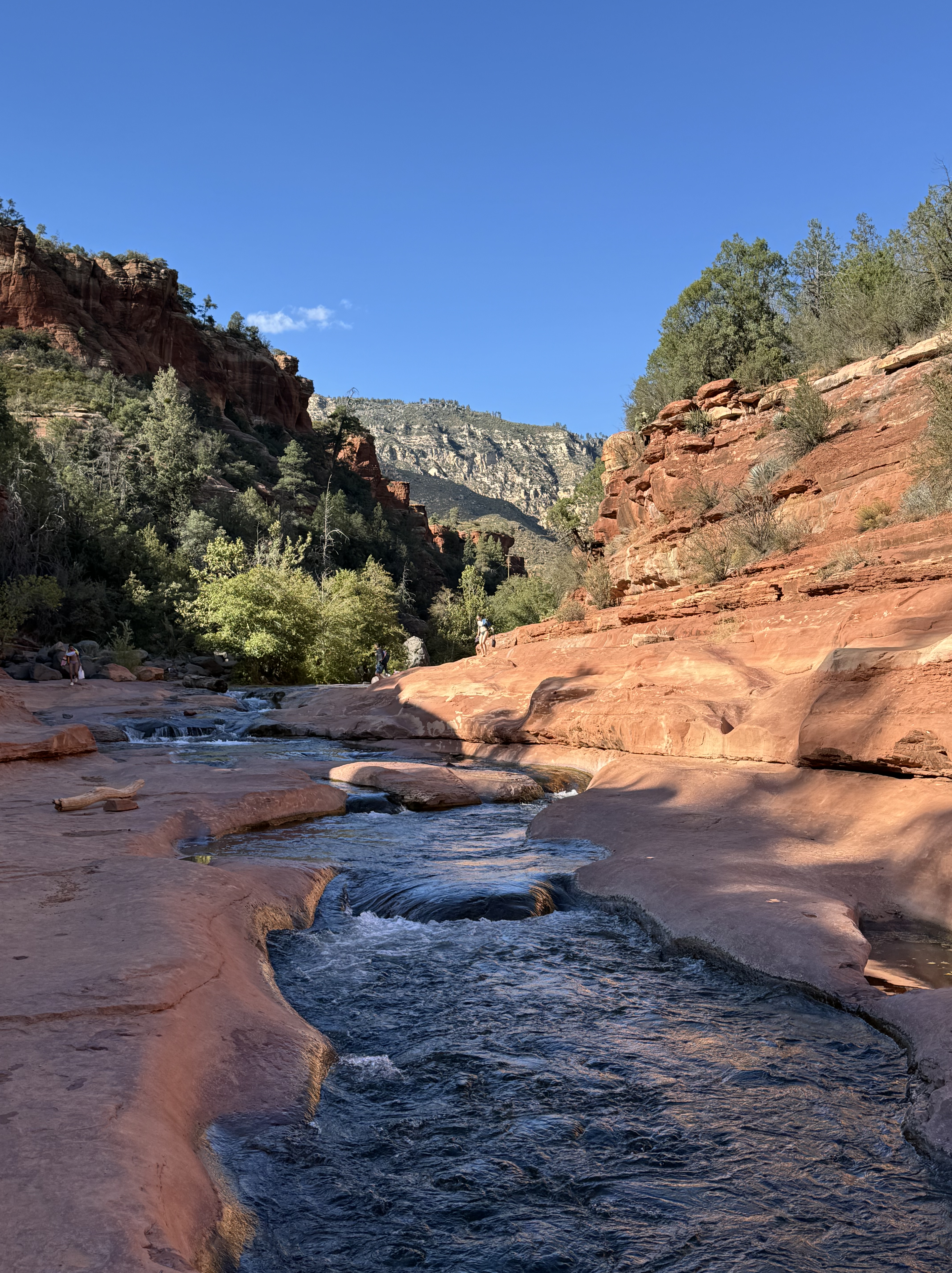 Family exploring a creek in Sedona Arizona with red rocks