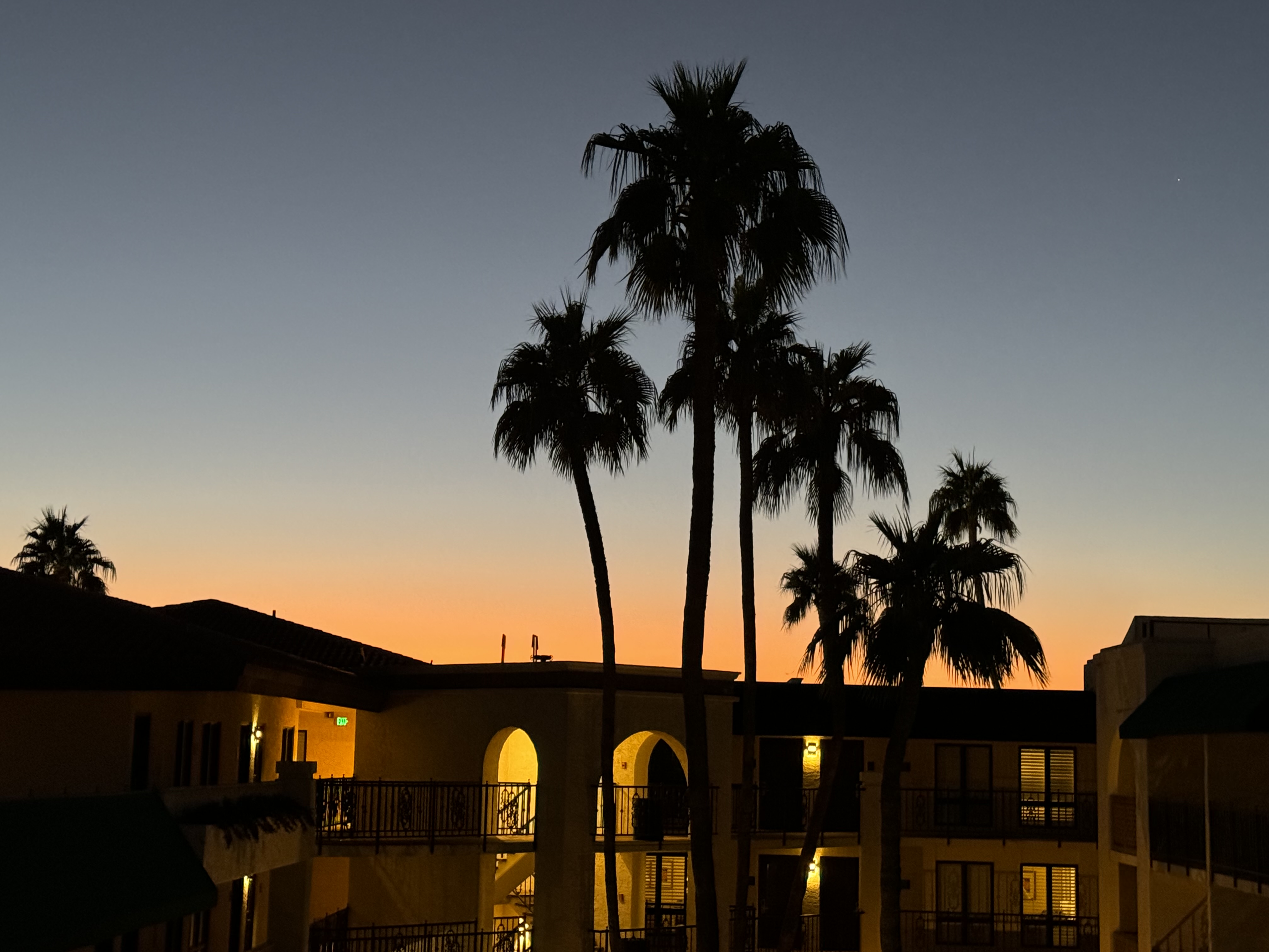 Arizona Grand Resort at sunset with palm trees silhouette