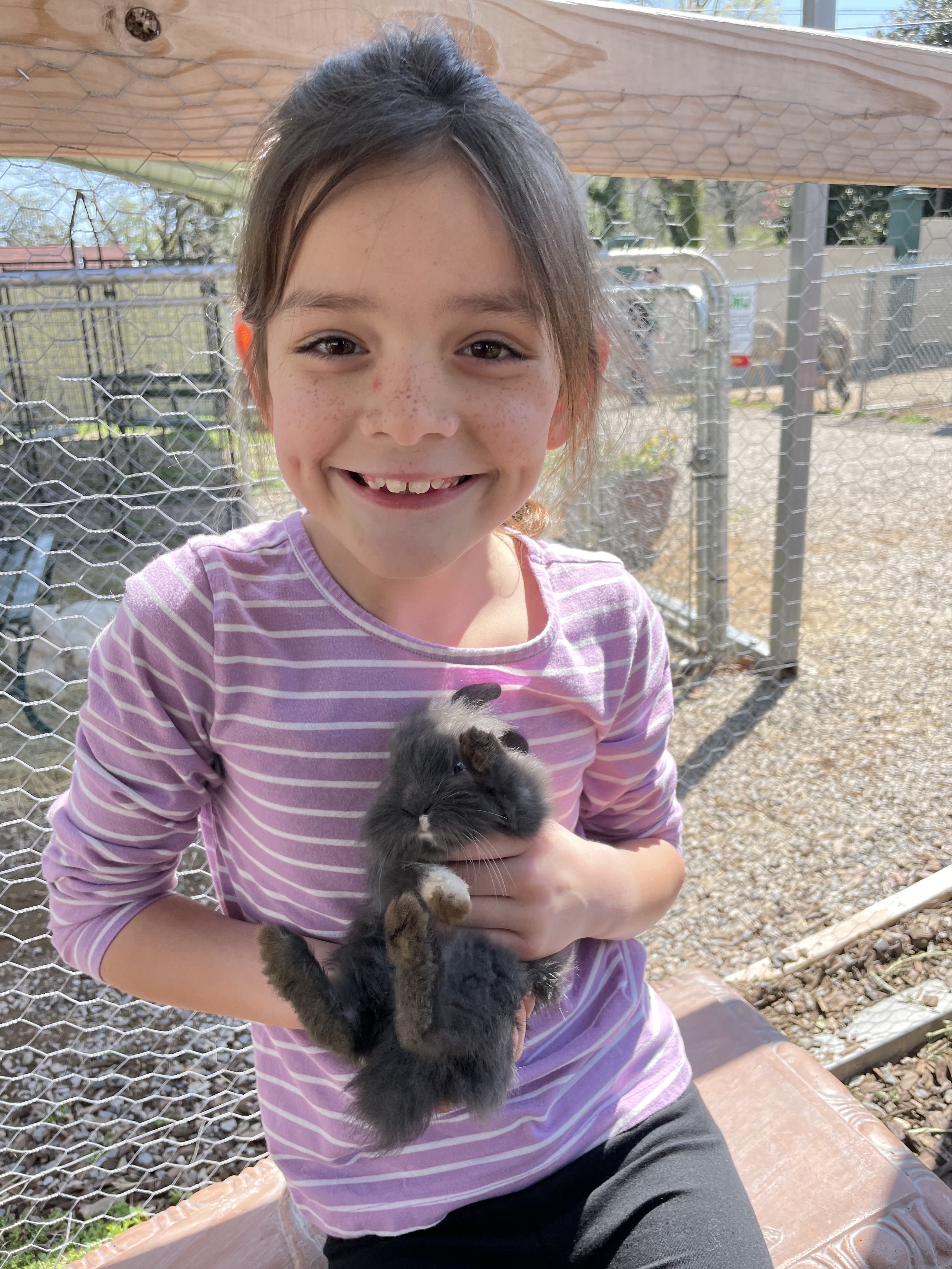 Animals at Arkansas Alligator Farm and Petting Zoo in Hot Springs Arkansas