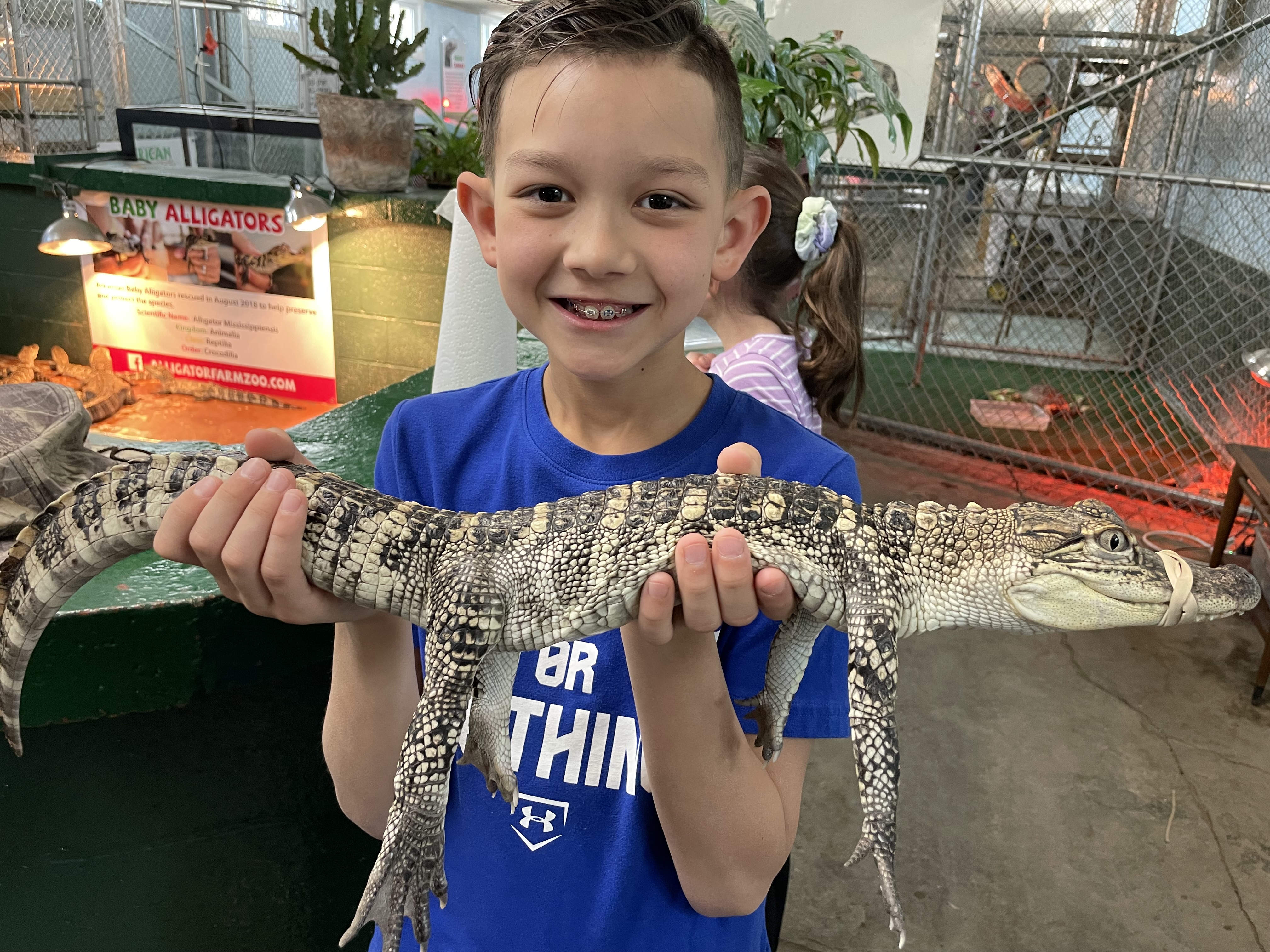 Kids petting baby alligators at Arkansas Alligator Farm and Petting Zoo