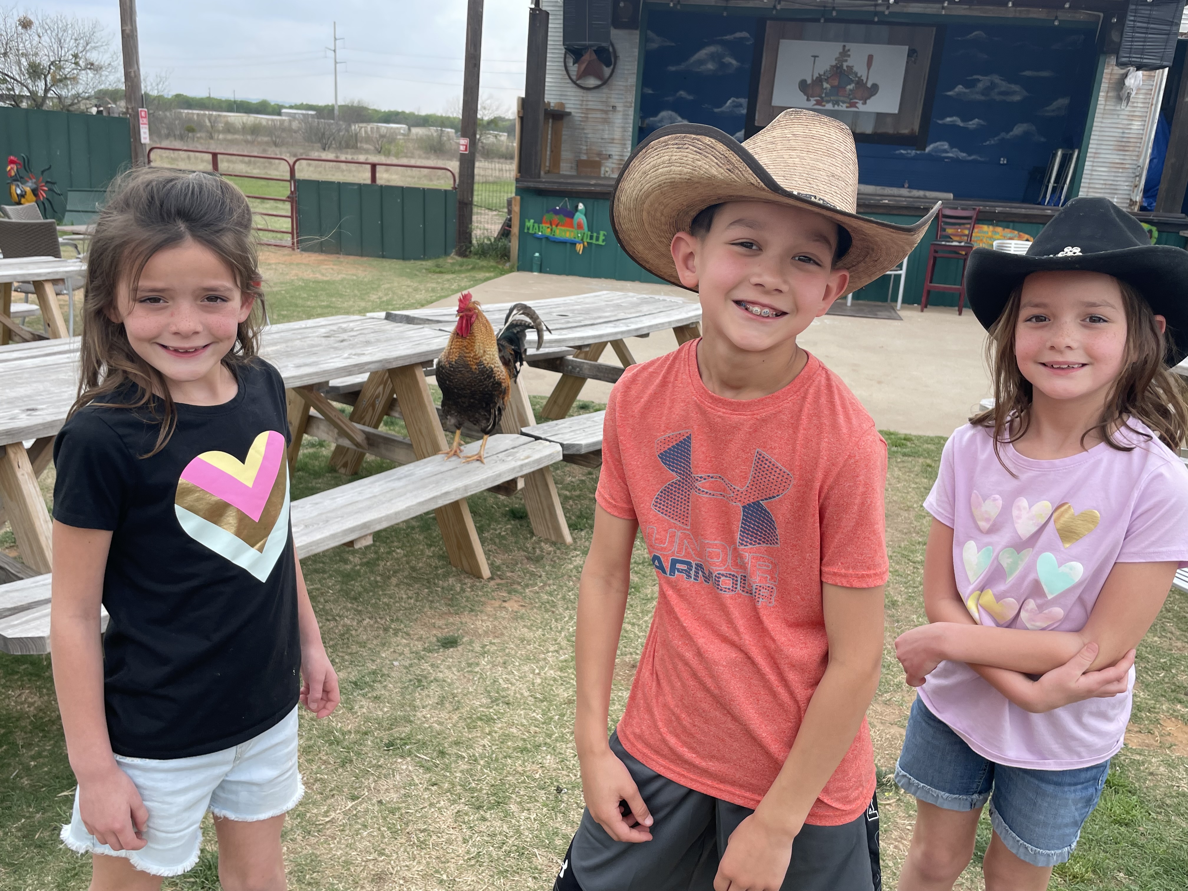 Outdoor barbecue restaurant in Granbury Texas with chickens and stage