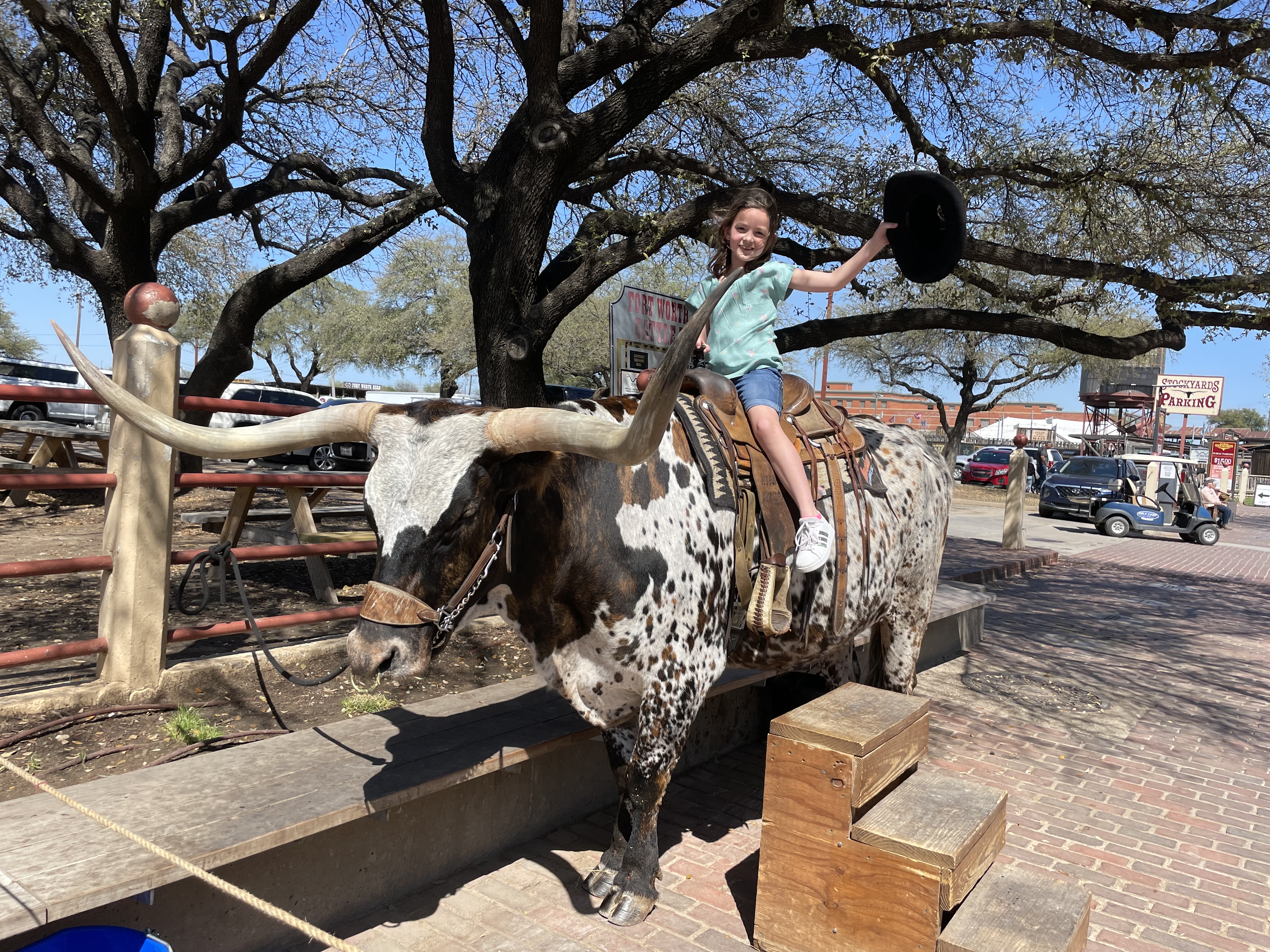 Kids trying bull riding at the Fort Worth Stockyards