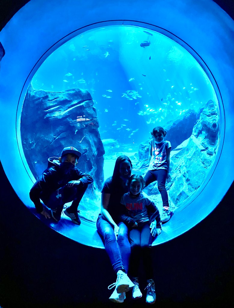 Kids sitting in a round aquarium window at Georgia Aquarium with fish swimming behind them