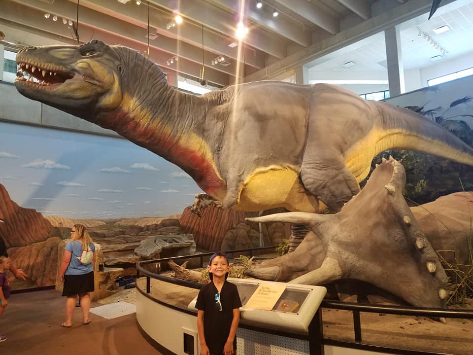 Child standing near a dinosaur exhibit at the St. Louis Science Center